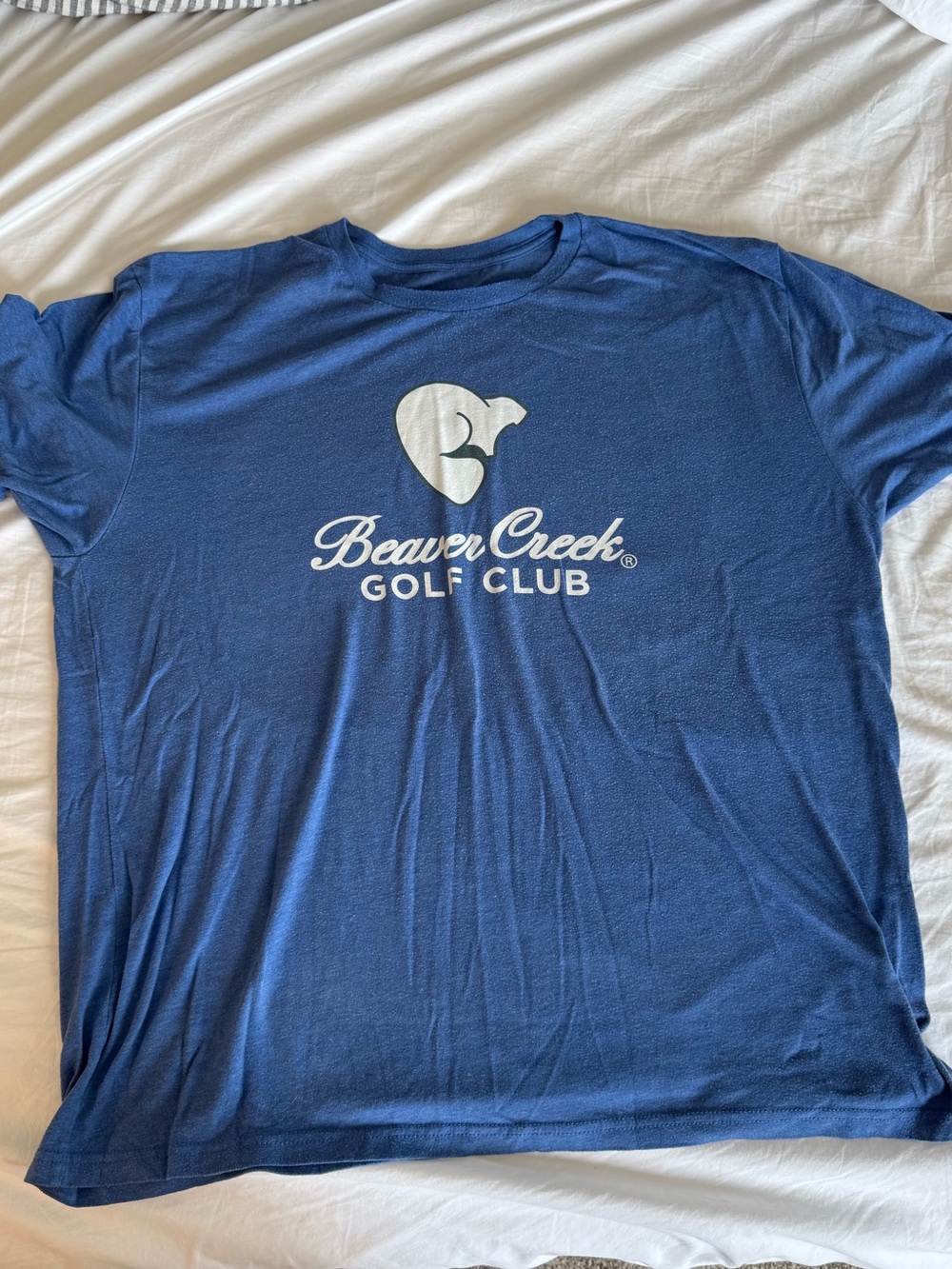 Beaver Creek Golf Club Men's Blue Graphic Tee - XL